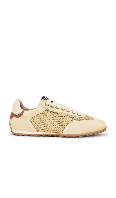 Allsaints Liam Low Top Sneaker In Off White & Sand