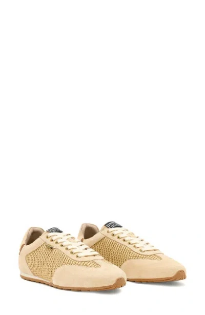 Allsaints Liam Woven Sneaker In Multi