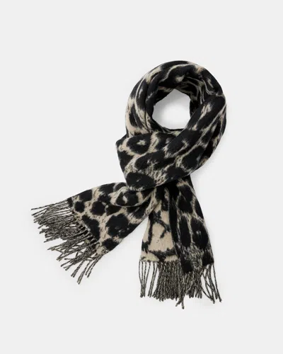 Allsaints Mabel Leopard Print Scarf In Grey/black