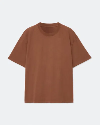 Allsaints Maddox Cotton Plain Jersey Crewneck T-shirt In Brown