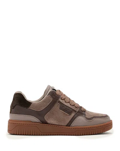 Allsaints Regan Plus Panelled Sneakers In Brown