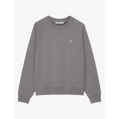 Allsaints Mens Harlow Ramskull Raglan Jersey Jumper Dolphin Grey Xs In Gray
