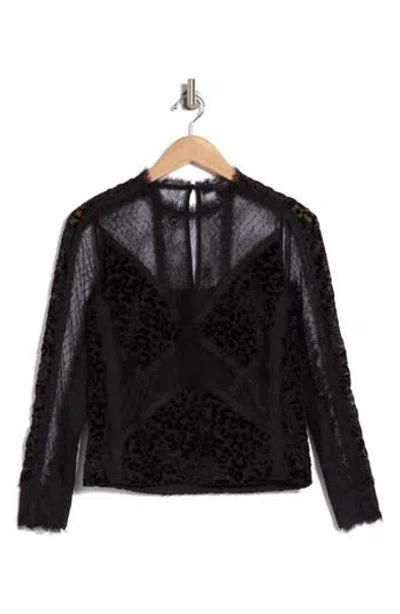 Allsaints Mila Lace & Velvet Blouse In Black