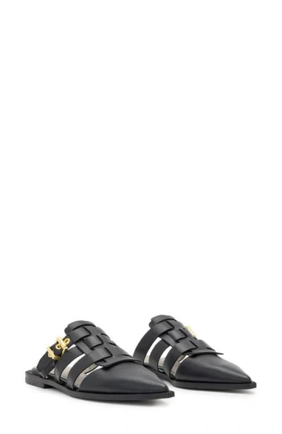 Allsaints Nala Pointed Toe Mule In Black