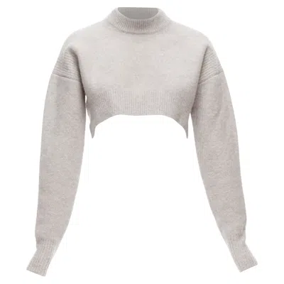 Allsaints Naomi Wool Blend Hi Neck Long Sleeve Cropped Sweater In Gray