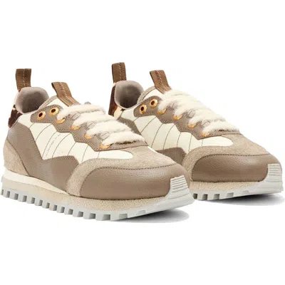 Allsaints Nevis Sneaker In Brown