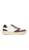 Allsaints Leather Regan Sneakers In Brown,white