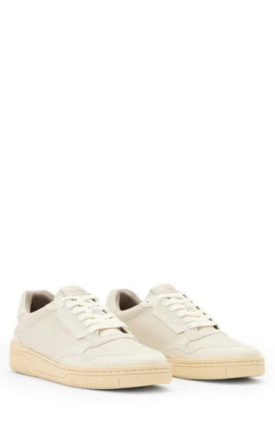 Allsaints Regan Low Top Sneaker In Neutral