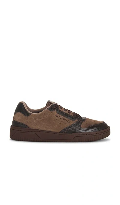 Allsaints Regan Low Top Sneaker In Brown