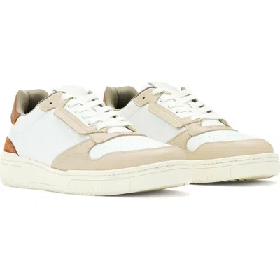 Allsaints Regan Low Top Sneaker In Neutral