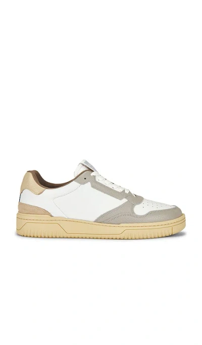 Allsaints Regan Low Top Sneaker In Multi