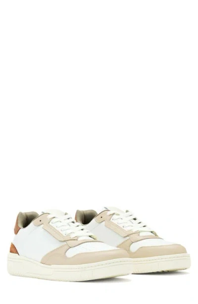 Allsaints Regan Low Top Sneaker In Multi
