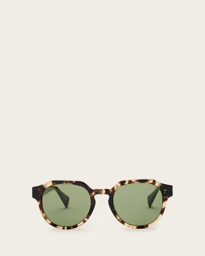 Allsaints Roman Round Sunglasses In Brown Demi Tort