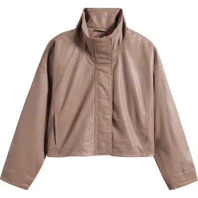 Allsaints Ryder Crop Leather Jacket In Brown