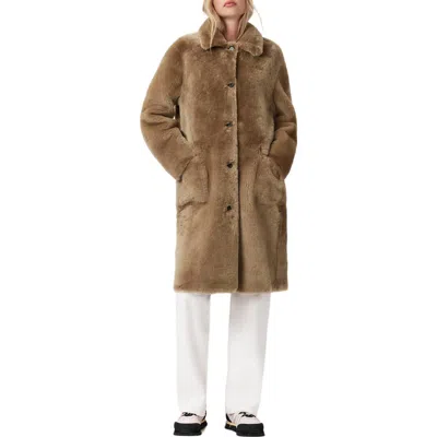 Allsaints Womens Conker Brown Serra Regular-fit Reversible Shearling Coat