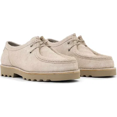 Allsaints Skiff Lace Up Leather Boat Shoes In Neutral
