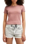 Allsaints Stevie Crop Cotton Rib T-shirt In Ash Rose Pink