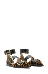 Allsaints Sutton Ankle Strap Pointed Toe Flat In Leopard Brown/black