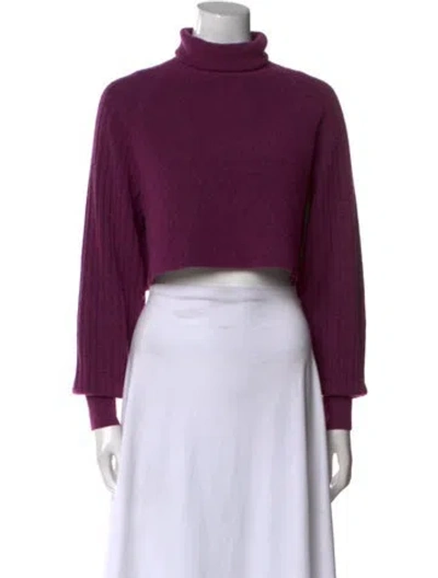 Pre-owned Allsaints Turtleneck Sweater In Purple