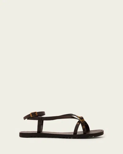 Allsaints Tyla Wrap Around Eyelet Detail Leather Sandals In Brown