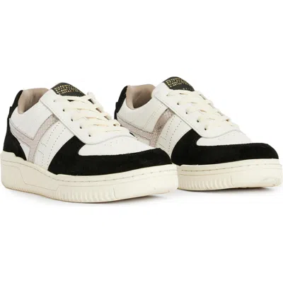 Allsaints Vix Sneaker In Multi