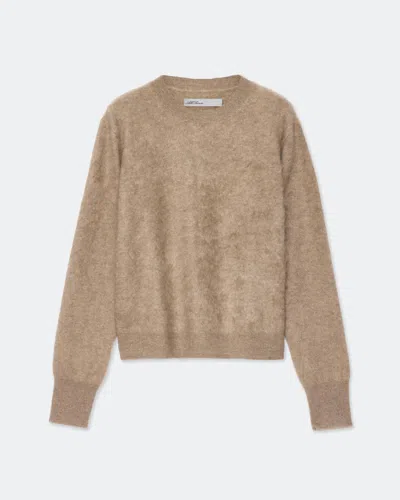 Allsaints Womens Ada Cropped Round-neck Cashmere Jumper Fawn Brown