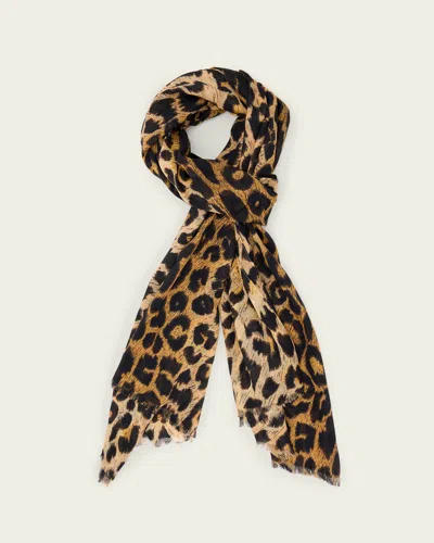 Allsaints Women's Leia Leopard Print Cotton Scarf In Animal Print