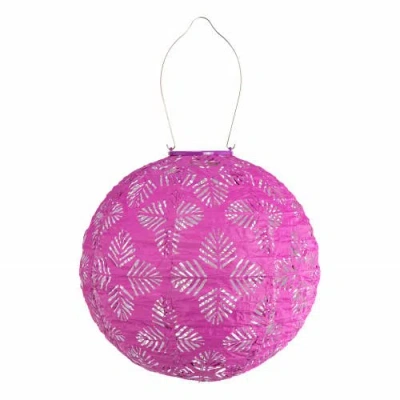 Allsop Home & Garden Soji Stella In Purple