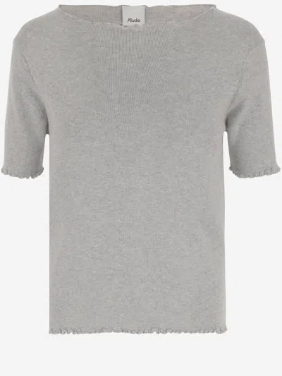 Allude In Gray