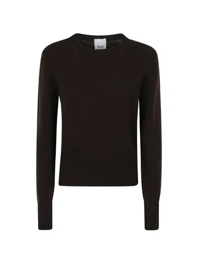 Allude Crew-neck Cashmere Sweater In Brown