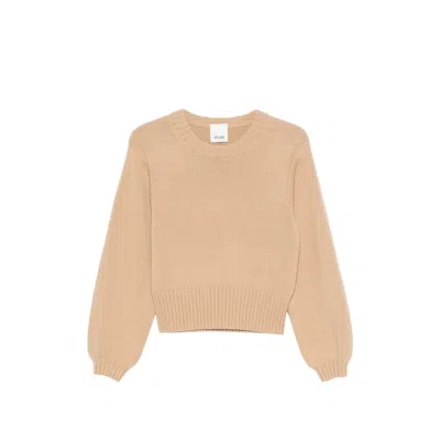 Allude Crew-neck Knit Sweater In Brown