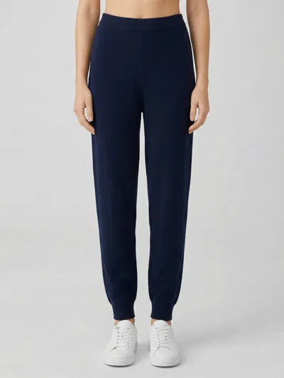 Allude Pants Woman  In Blue