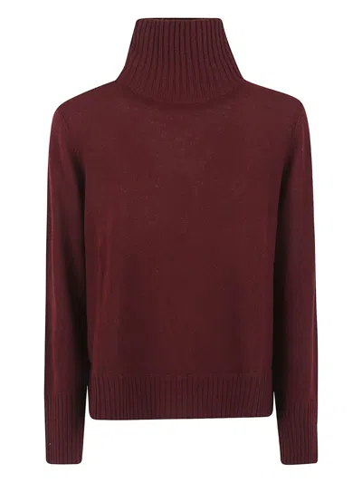 Allude Roll-neck Ribbed Sweater In Burgundy