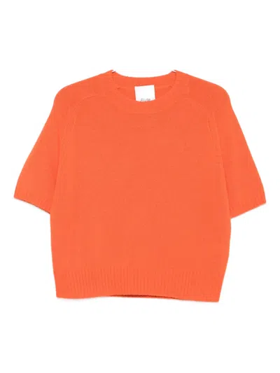 Allude Short-sleeve Sweater In Orange