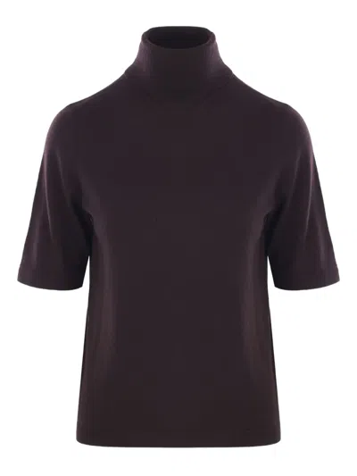 Allude Short-sleeve Turtleneck Sweater In Brown