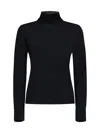 Allude Wool Turtleneck Sweater In Black