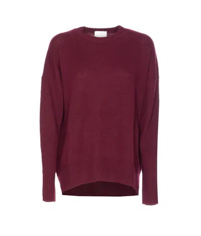 Allude Sweater In Purple
