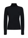 Allude Wool Turtleneck Sweater In Black