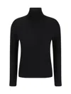 Allude Wool Turtleneck Sweater