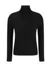 Allude Wool Turtleneck Sweater In 490