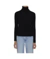Allude Wool Turtleneck Sweater In Black