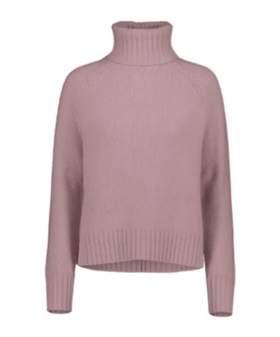Allude Turtleneck Sweater In Multicolor