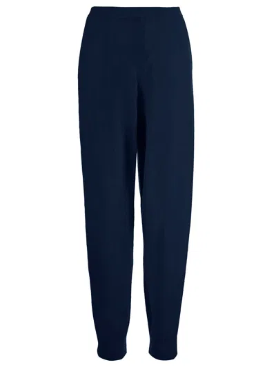 Allude Wool And Cashmere Pants In Blue