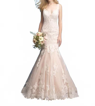 Allure Bridals Lace Bridal Gown In Antique Champaine Ivory In White