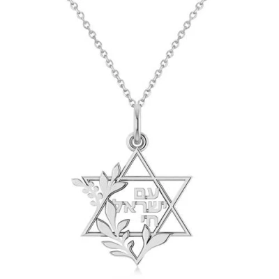 Allurez Jewish Star Of David Am Yisrael Chai Pendant Necklace 14k In Metallic