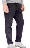 Allview Furlough Pant In Vintage Black In Purple