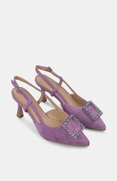 Alma En Pena Kitten Buckle Shoe In Purple