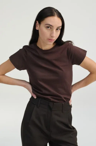 Almina Concept Short Sleeve Tee In Dark Brown