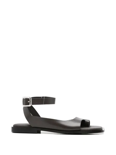 Alohas Buckle-fastening Toe-strap Sandals In Brown