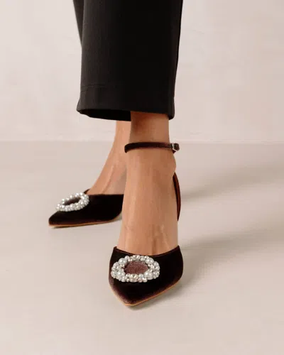 Alohas Cinderella Crystal Embellished High-heel Pumps In Velvet Coffee Brown In Multi